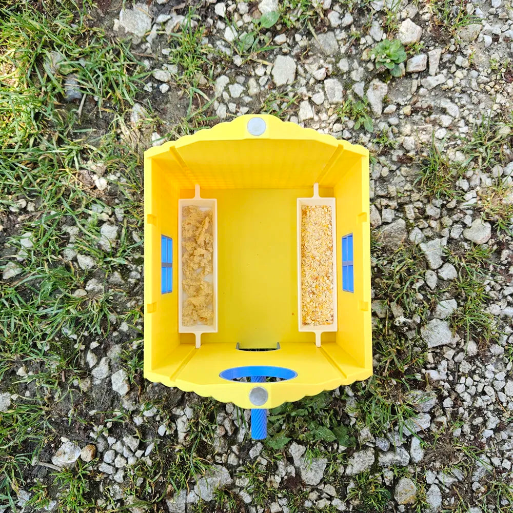 Bird House