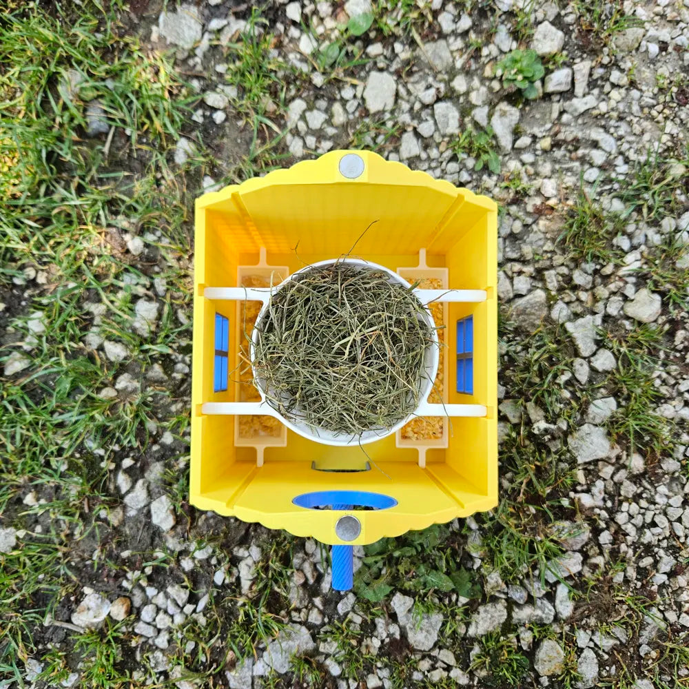 Bird House