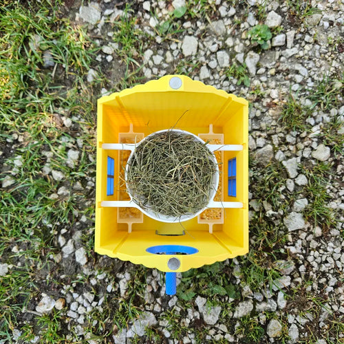 Bird House