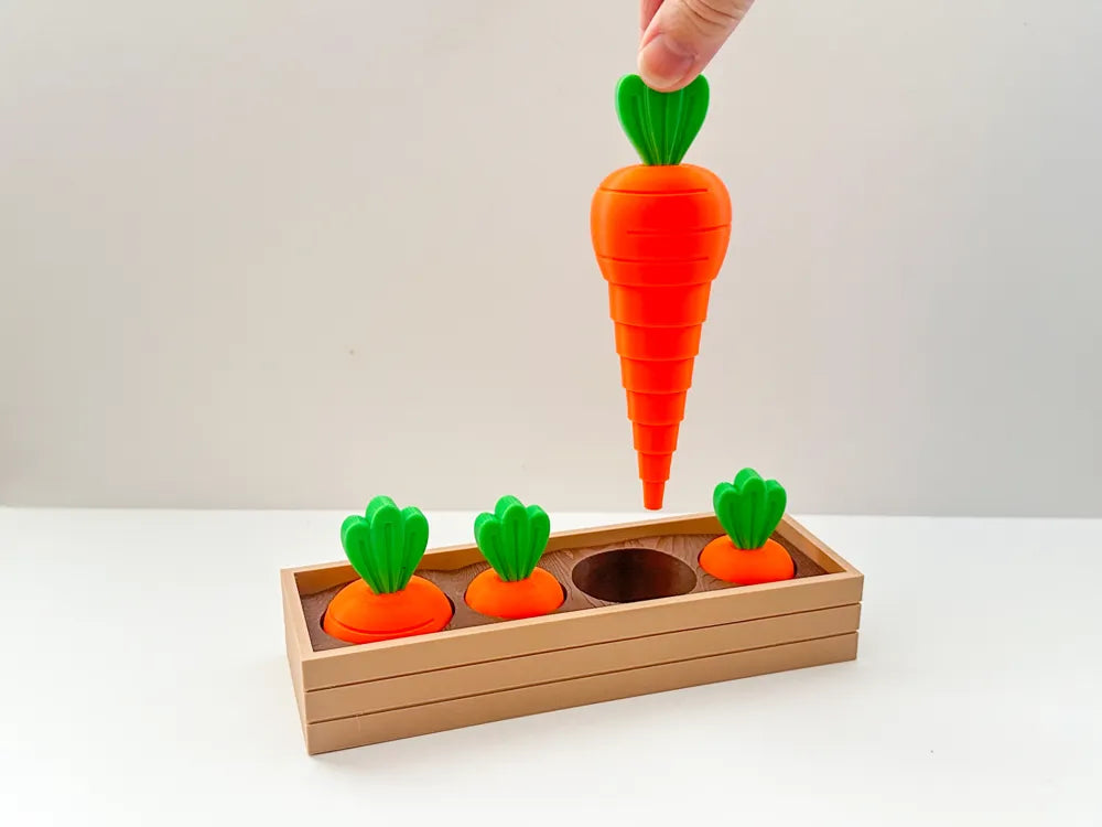 Carrot Garden Sorting Toy