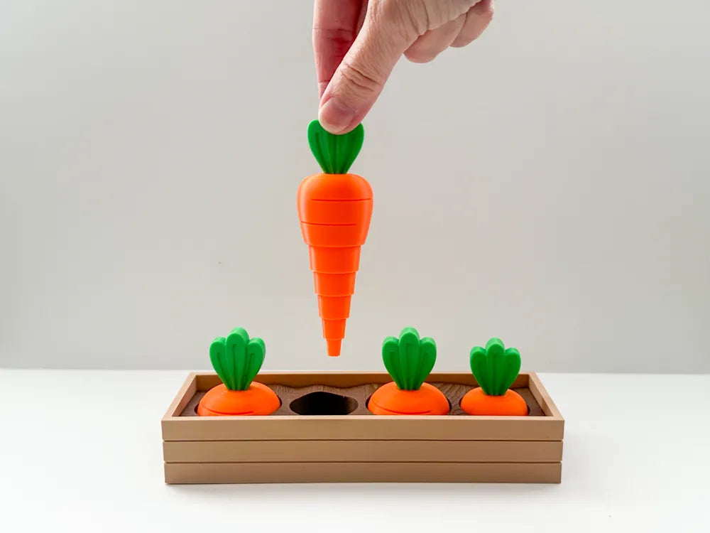 Carrot Garden Sorting Toy