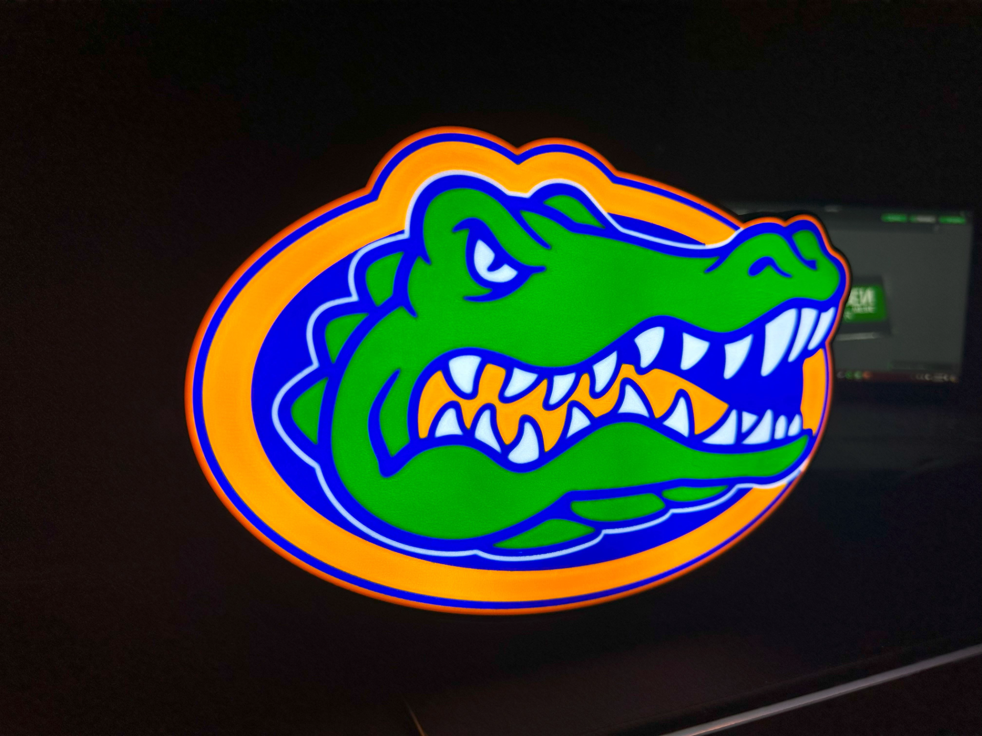 Florida Gators Lightbox (Croc Style)
